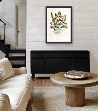 Batemannia Burtii Orchid from The Floral Magazine (1861-1881) by Worthington G. Smith, John N. Fitch and Walter H. Fitch - Botanical Illustration Stretched Canvas or Wall Art Print