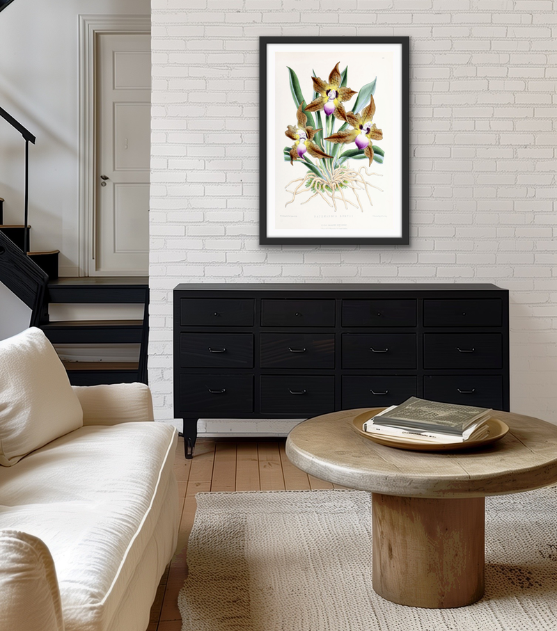 Batemannia Burtii Orchid from The Floral Magazine (1861-1881) by Worthington G. Smith, John N. Fitch and Walter H. Fitch - Botanical Illustration Stretched Canvas or Wall Art Print