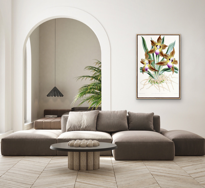 Batemannia Burtii Orchid from The Floral Magazine (1861-1881) by Worthington G. Smith, John N. Fitch and Walter H. Fitch - Botanical Illustration Stretched Canvas or Wall Art Print