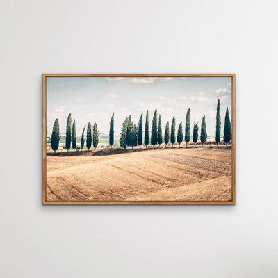 Beautiful Tuscany - Italian Landscape Art Print Stretched Canvas Wall Art - I Heart Wall Art - Poster Print, Canvas Print or Framed Art Print