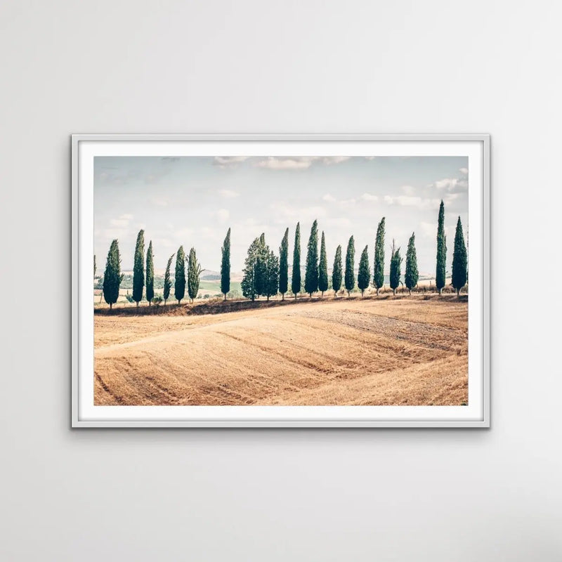 Beautiful Tuscany - Italian Landscape Art Print Stretched Canvas Wall Art - I Heart Wall Art - Poster Print, Canvas Print or Framed Art Print
