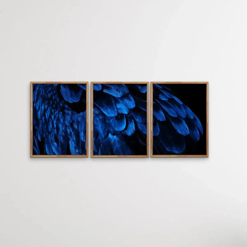Birds Of A Feather - Three Piece Blue Feather Photographic Art Print Set Triptych - I Heart Wall Art - Poster Print, Canvas Print or Framed Art Print