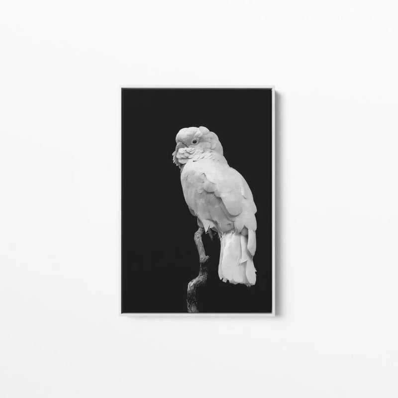 Black And White Cockatoo - Art Print Stretched Canvas Wall Art - I Heart Wall Art - Poster Print, Canvas Print or Framed Art Print