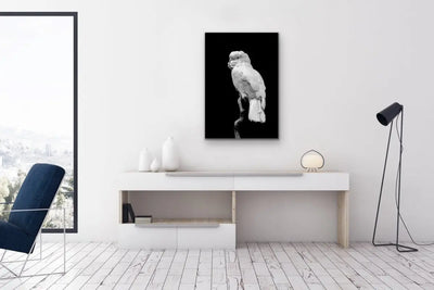 Black And White Cockatoo - Art Print Stretched Canvas Wall Art - I Heart Wall Art - Poster Print, Canvas Print or Framed Art Print