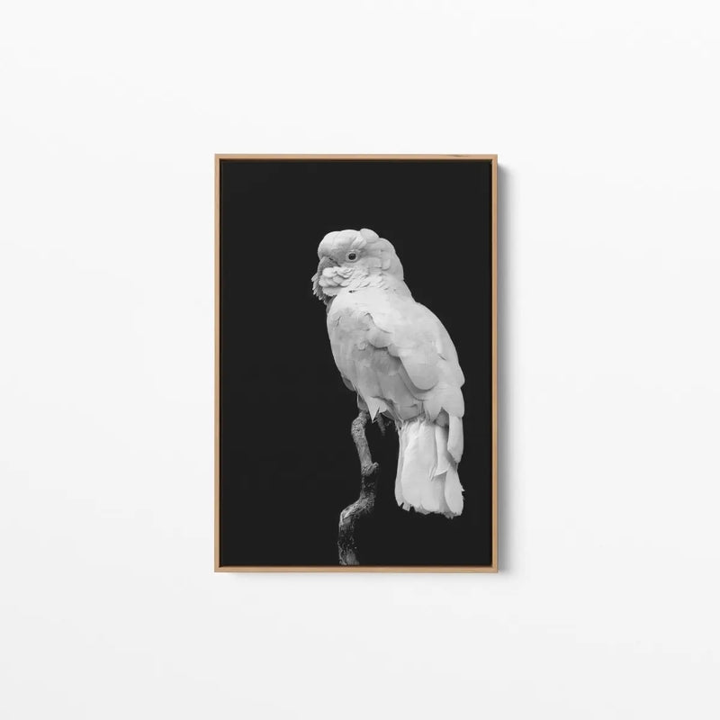 Black And White Cockatoo - Art Print Stretched Canvas Wall Art - I Heart Wall Art - Poster Print, Canvas Print or Framed Art Print