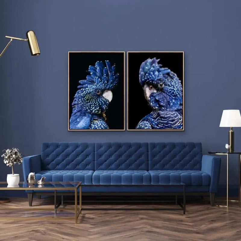 Black Cockatoo On Black - Two Piece Black Cockatoo Stretched Canvas Framed Wall Art Diptych - I Heart Wall Art - Poster Print, Canvas Print or Framed Art Print
