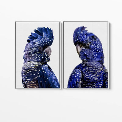 Black Cockatoo Pair - Two Piece Black Cockatoo Stretched Canvas Framed Wall Art Diptych - I Heart Wall Art - Poster Print, Canvas Print or Framed Art Print