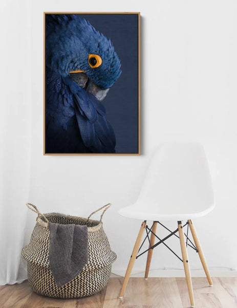 Australian native birds and botanicals wall art
