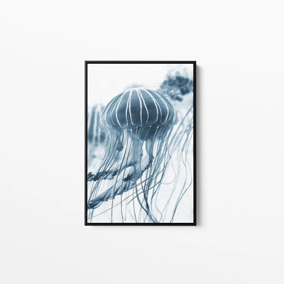 Bluebottle- Stretched Canvas Wall Art Print Bluebottle jellyfish - I Heart Wall Art - Poster Print, Canvas Print or Framed Art Print