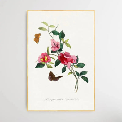 Bougainvillea flower painting by Paul Gervais - I Heart Wall Art - Poster Print, Canvas Print or Framed Art Print