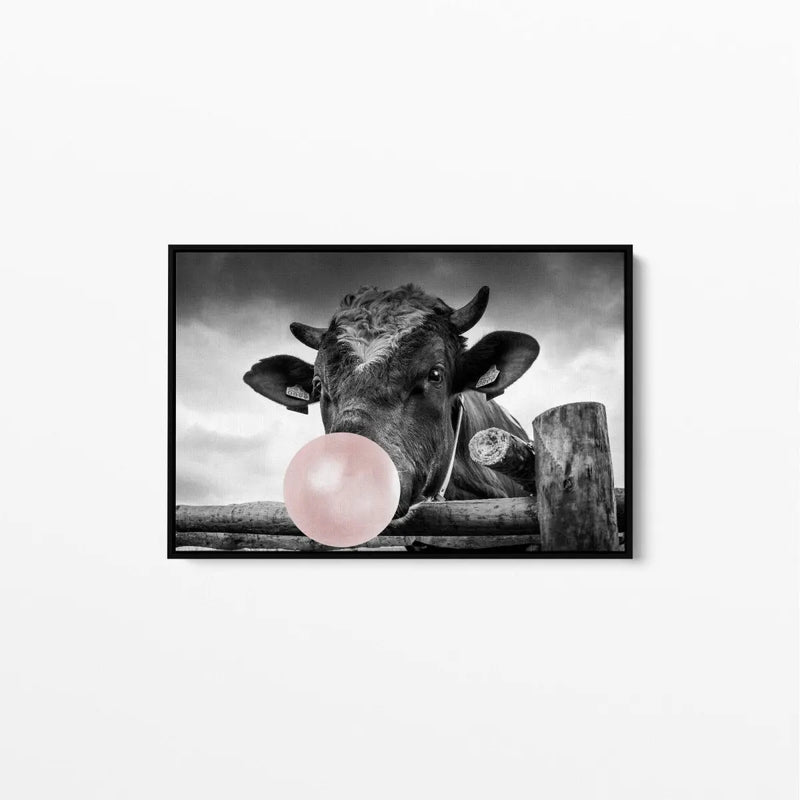 Bubblegum Cow- Stretched Canvas Wall Art Print Black And White - I Heart Wall Art - Poster Print, Canvas Print or Framed Art Print