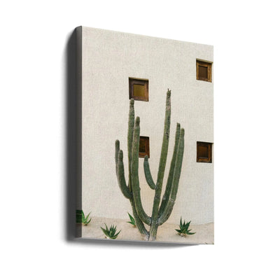 Cabo Cactus IX - Stretched Canvas, Poster or Fine Art Print I Heart Wall Art