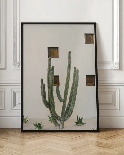 Cabo Cactus IX - Stretched Canvas, Poster or Fine Art Print I Heart Wall Art