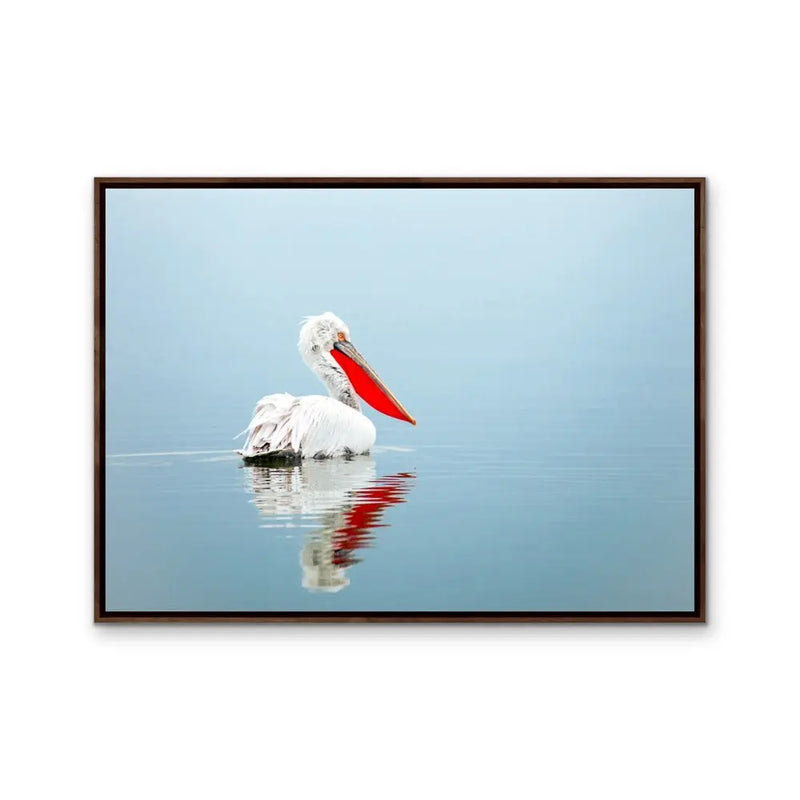Calm Mornings - Pelican Ocean Coastal Hamptons Photographic Artwork I Heart Wall Art Australia 