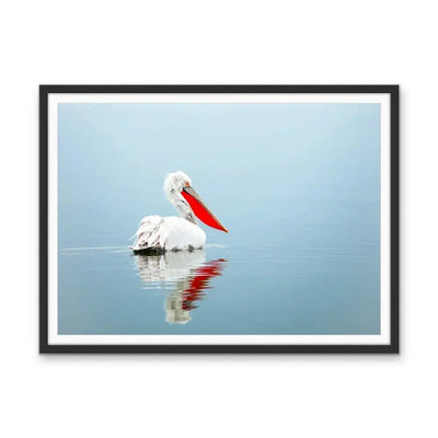 Calm Mornings - Pelican Ocean Coastal Hamptons Photographic Artwork I Heart Wall Art Australia 