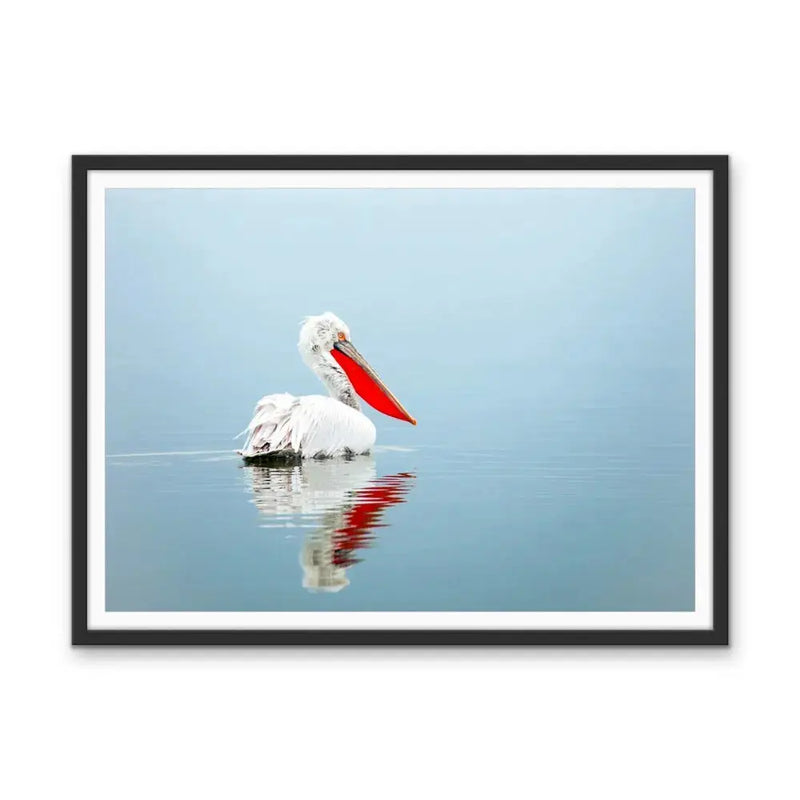 Calm Mornings - Pelican Ocean Coastal Hamptons Photographic Artwork I Heart Wall Art Australia 