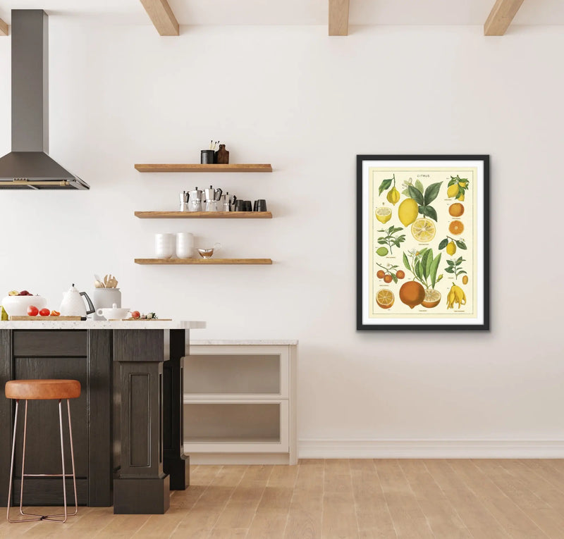 Citrus Vintage Scientific Chart - Stretched Canvas Print or Framed Fine Art Print - Artwork I Heart Wall Art Australia