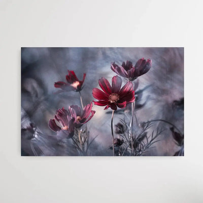 Cosmoslicious by Fabien Bravin I Heart Wall Art Australia