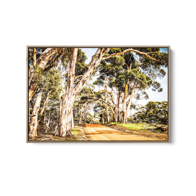 Country Road -  Original Australian Bush Road Nature Painting Stretched Canvas Wall Art Print I Heart Wall Art Australia 
