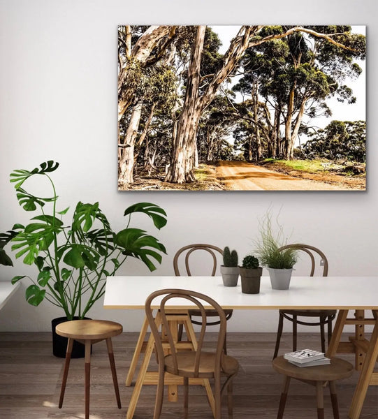 Country Road photographic print