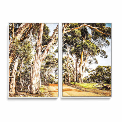 Country Road - Two Piece Photographic Australian Bush Nature Print Set as Canvas or Art Print - Nature Wall Art Diptych I Heart Wall Art Australia 