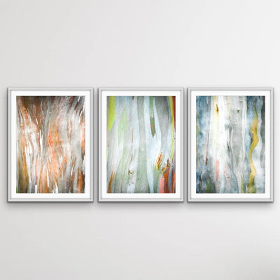 Eucalyptus Bark - Three Piece Eucalypts Bark Australian Native Print Set Triptych - I Heart Wall Art