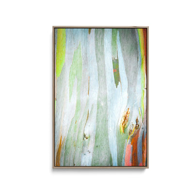 Eucalyptus Bark in Green- Stretched Canvas Print or Framed Fine Art Print - Artwork - I Heart Wall Art