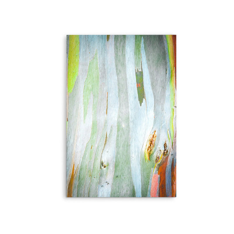 Eucalyptus Bark in Green- Stretched Canvas Print or Framed Fine Art Print - Artwork - I Heart Wall Art