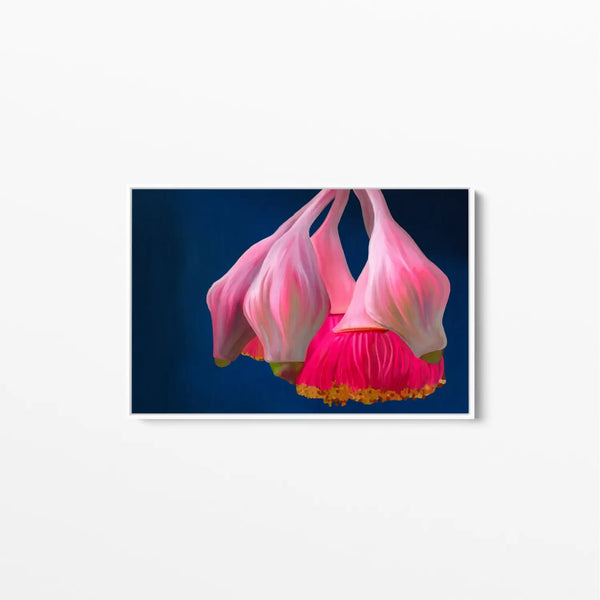 Gumnut Blossom Canvas Wall Art