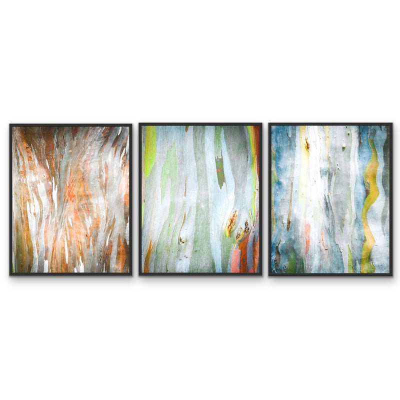 Eucalyptus Bark - Three Piece Eucalypts Bark Australian Native Print Set Triptych