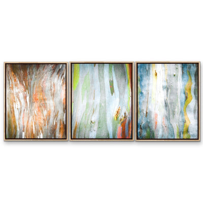 Eucalyptus Bark - Three Piece Eucalypts Bark Australian Native Print Set Triptych