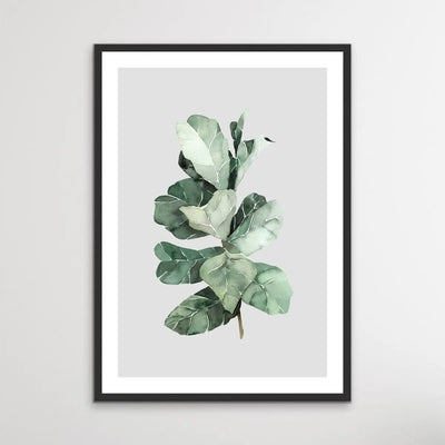 Fiddle Leaf Fig - CLassic Foliage Print Set One