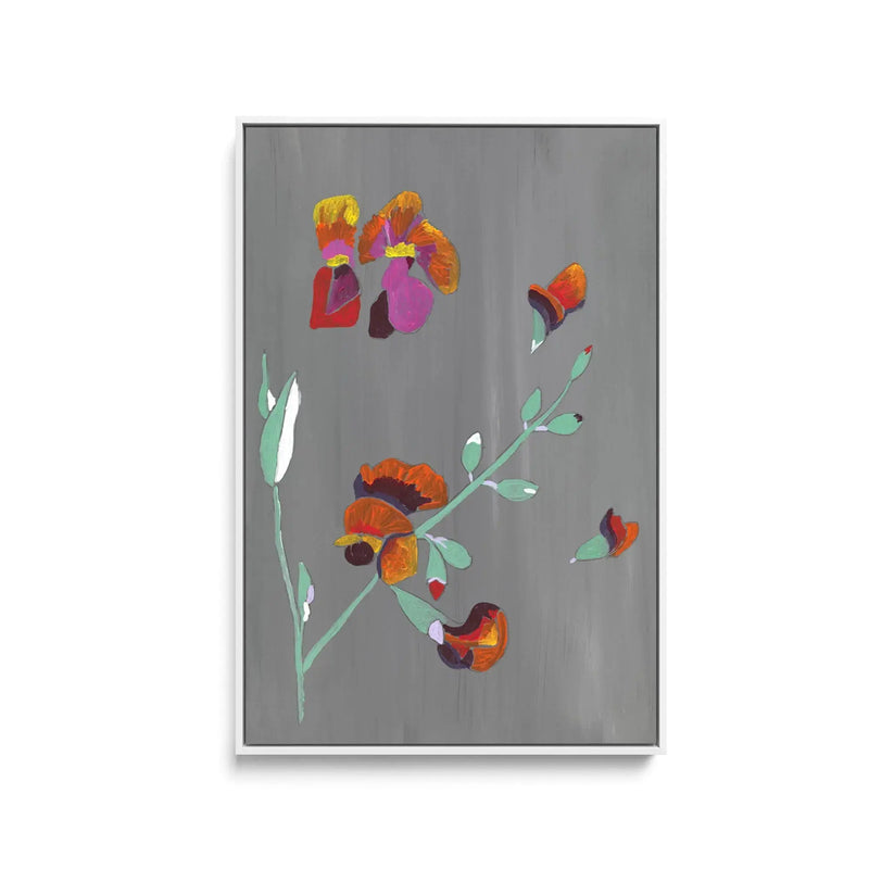 Flame Pea by Lucy Hawkins - Stretched Canvas Print or Framed Fine Art Print - Artwork I Heart Wall Art Australia 