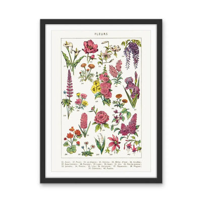 Fleurs 2 French Vintage Botanical Illustration - Stretched Canvas Print or Framed Fine Art Print - Artwork I Heart Wall Art Australia