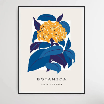 Floral Botanica Number 1 - Floral Poster Style Print Collection I Heart Wall Art Australia 