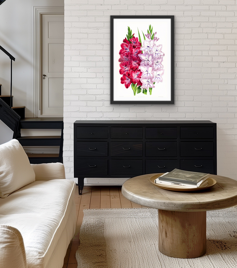 Gladiolus Two from The Floral Magazine (1861-1881) by Worthington G. Smith, John N. Fitch and Walter H. Fitch - Botanical Illustration Stretched Canvas or Wall Art Print