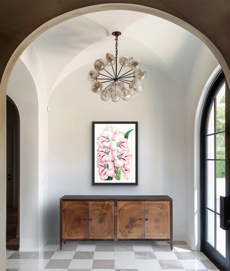 Gladiolus from The Floral Magazine (1861-1881) by Worthington G. Smith, John N. Fitch and Walter H. Fitch - Botanical Illustration Stretched Canvas or Wall Art Print