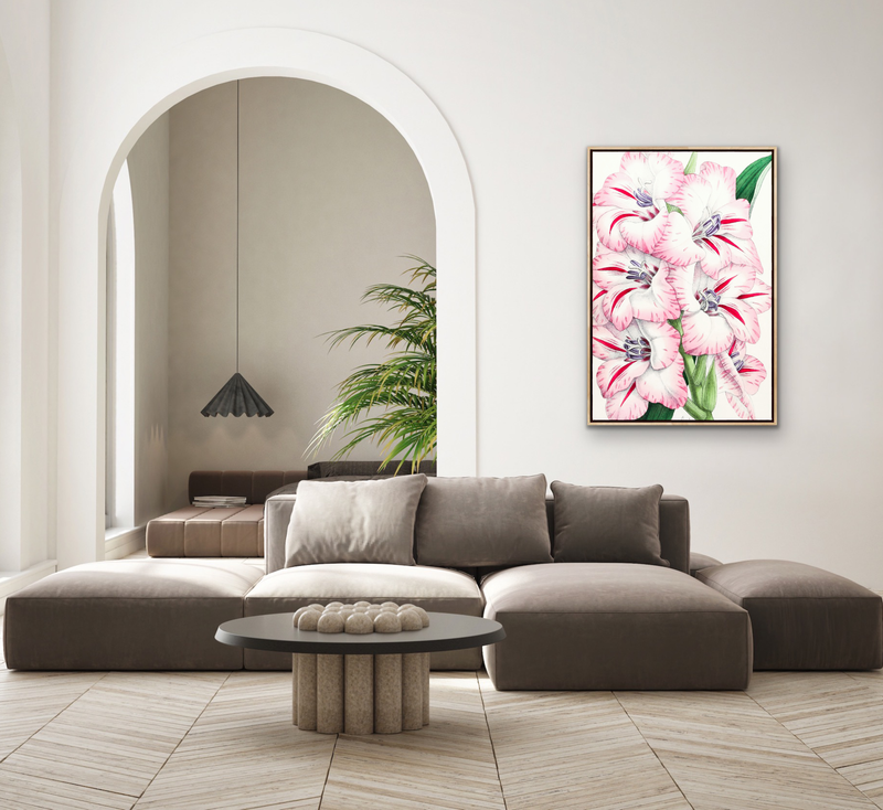 Gladiolus from The Floral Magazine (1861-1881) by Worthington G. Smith, John N. Fitch and Walter H. Fitch - Botanical Illustration Stretched Canvas or Wall Art Print