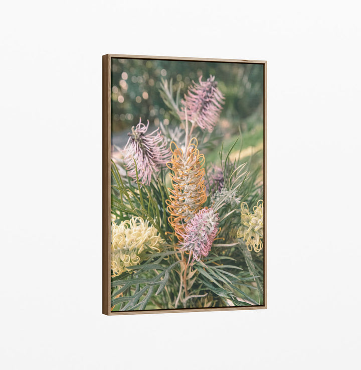 Grevillea Bouquet - Native Floral Photographic Print by IHeartStudio