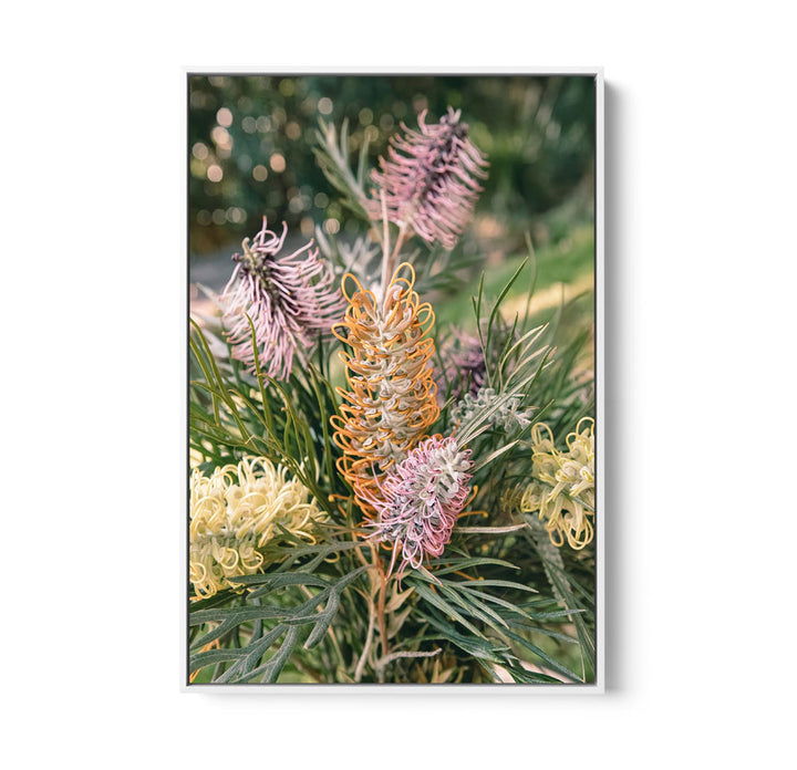 Grevillea Bouquet - Native Floral Photographic Print by IHeartStudio