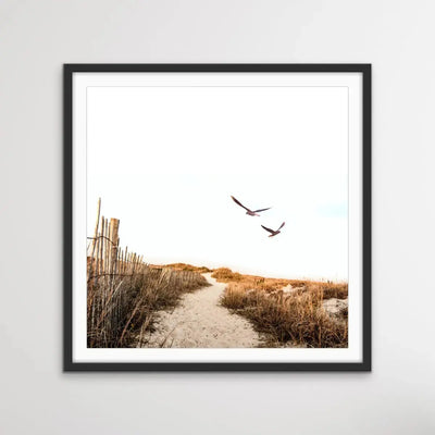 Gull Coast - Square Photographic Print With Golden Tones I Heart Wall Art Australia
