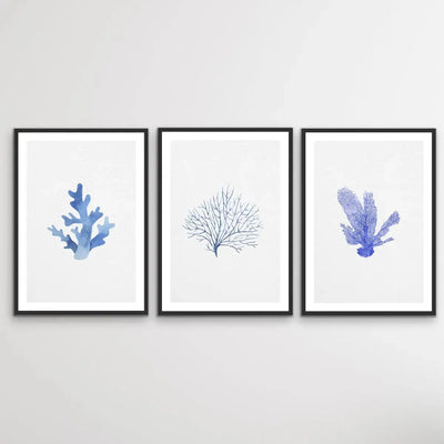 Hamptons Blue Coral Seaside Wall Art Prints - Three Piece Art Print Triptych I Heart Wall Art Australia