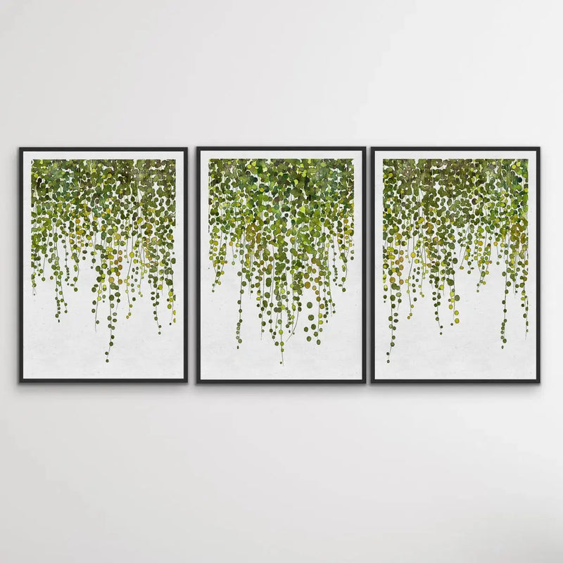 Hanging Ivy - Three Piece Art Print  of Hanging Ivy Wall Art Triptych