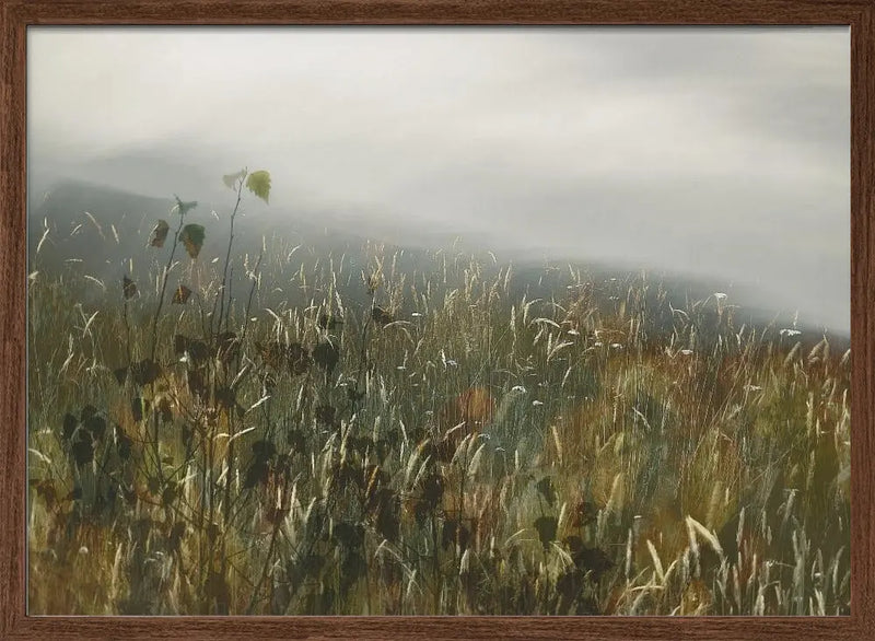 In the field - Stretched Canvas, Poster or Fine Art Print