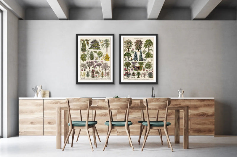 Jardins Arbres - Two Piece Vintage Tree Illustration Set- Stretched Canvas or Art Print Set Diptych I Heart Wall Art Australia