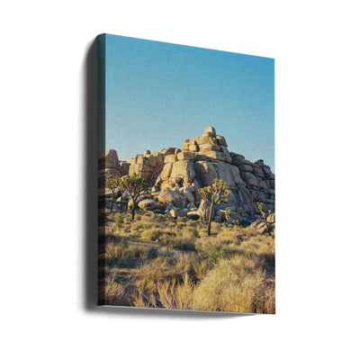 Joshua Tree Sunset - Stretched Canvas, Poster or Fine Art Print I Heart Wall Art