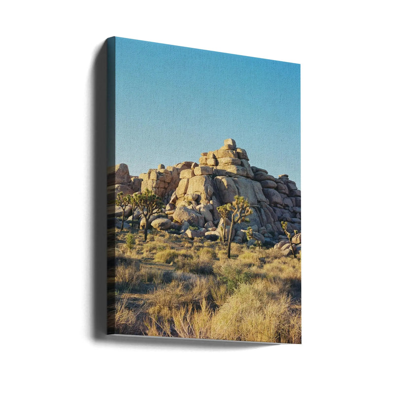 Joshua Tree Sunset - Stretched Canvas, Poster or Fine Art Print I Heart Wall Art