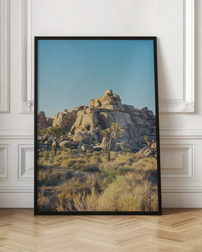 Joshua Tree Sunset - Stretched Canvas, Poster or Fine Art Print I Heart Wall Art