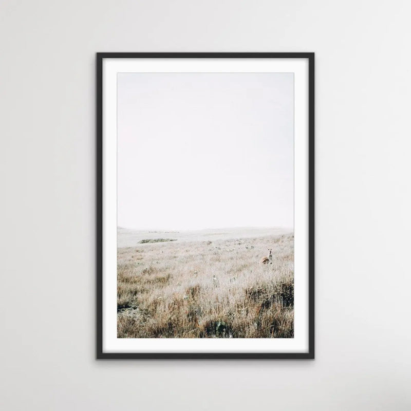 Kangaroo Wild - Australian County Photographic Landscape Art Print