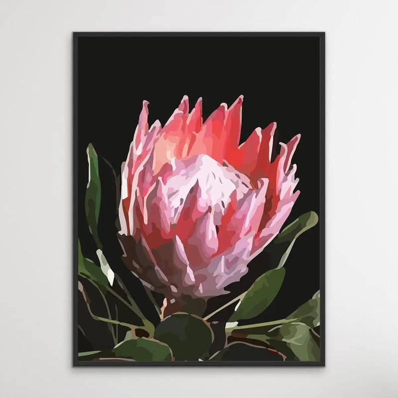 King Of The Blooms - Protea Floral Print on Canvas or Paper I Heart Wall Art Australia